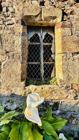 L'Âme de la Bretagne : Penty de Charme entre Terre et Mer