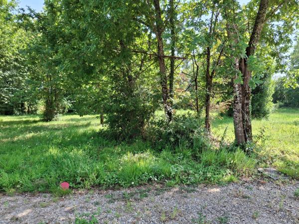 Terrain à vendre de 979,00 m² proche de CASTELJALOUX (47) lotissement 8 lots