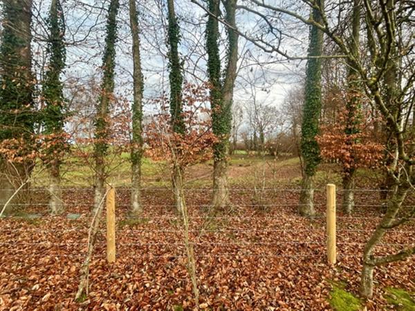 Maison bosc le hard 50m² - 532m² de jardin - 2 chambres - Cuisine séjour - Salle de douche - idéal premier achat ou investissement proche toutes commodités mier achat