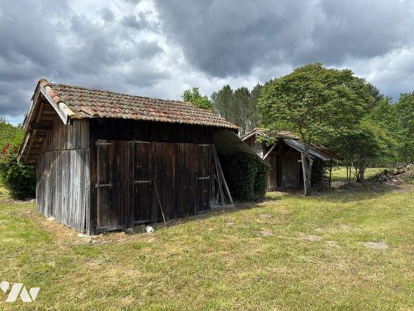 Charmante maison en pierre de plain-pied avec grand terrain constructible à Durance