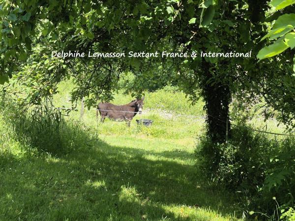 Ancienne fermette avec dépendances, prés et source