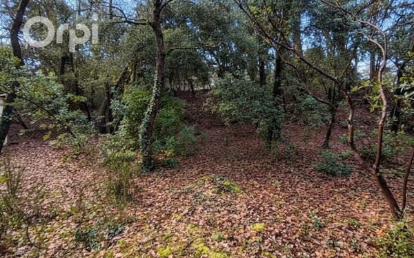 Terrain à vendre    La Tremblade