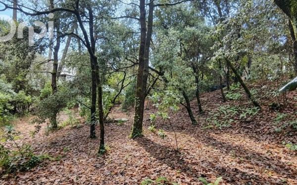 Terrain à vendre    La Tremblade