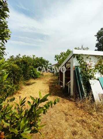Vente Maison de 1m² - 38230 Tignieu-Jameyzieu