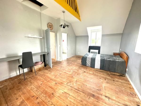 Propriete à vendre 11 pièces (56)