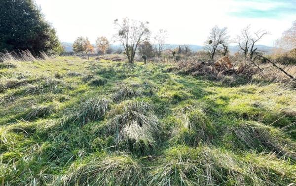 Vente Terrain Charnay-les-macon   