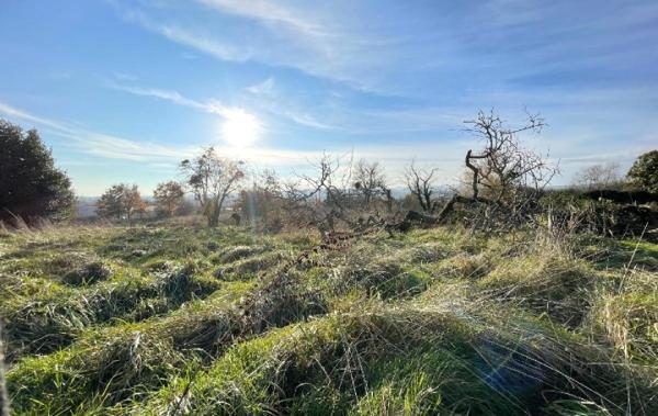 Vente Terrain Charnay-les-macon   