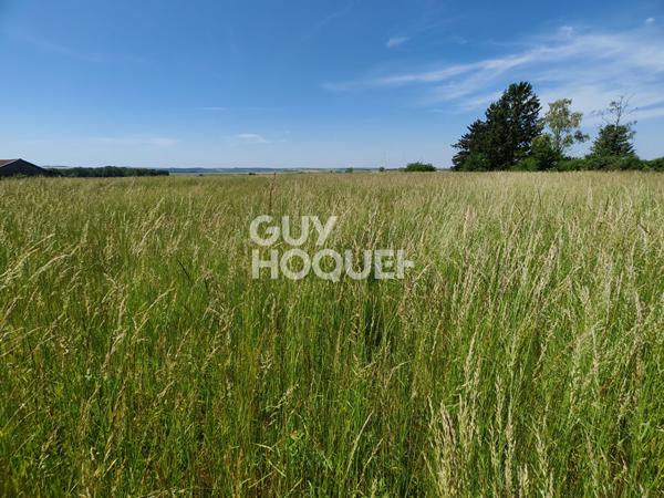 Terrain exceptionnel