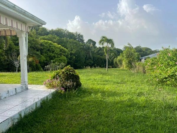 Maison à vendre 3 pièces GOYAVE (971)