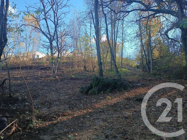 Terrain à vendre  1600 m2 CORBARIEU - 82