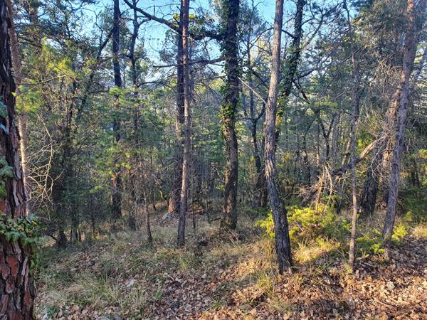 Châteaudouble (83300) Terrain de loisirs