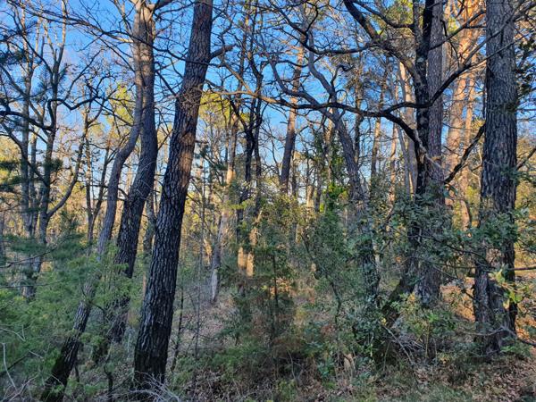 Châteaudouble (83300) Terrain de loisirs