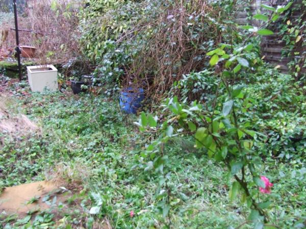 Maison de village à rénover entièrement !