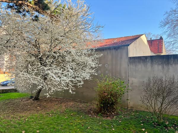 Appartement 2 pièces - CRÉTEIL 35 M²