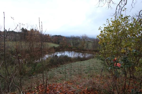 À vendre – Ensemble immobilier en pierre au cœur de la nature – Vernoux-en-Vivarais