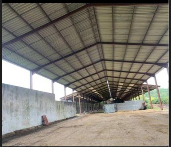 🚜 À VENDRE : Bâtiment Agricole à Villeneuve-les-Genêts (89) 🚜