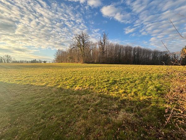 Terrain
        
        - 626 m²