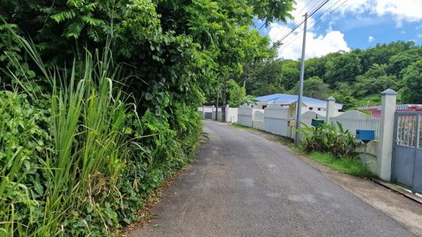 Terrain constructible plat a Les Abymes 97139 Les Abymes
