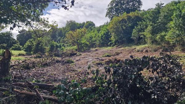 Terrain constructible plat a Les Abymes 97139 Les Abymes