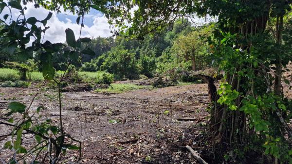 Terrain constructible plat a Les Abymes 97139 Les Abymes
