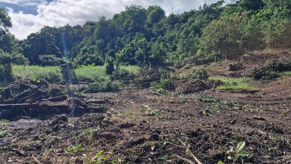 Terrain constructible plat a Les Abymes 97139 Les Abymes