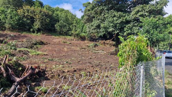 Terrain constructible plat a Les Abymes 97139 Les Abymes