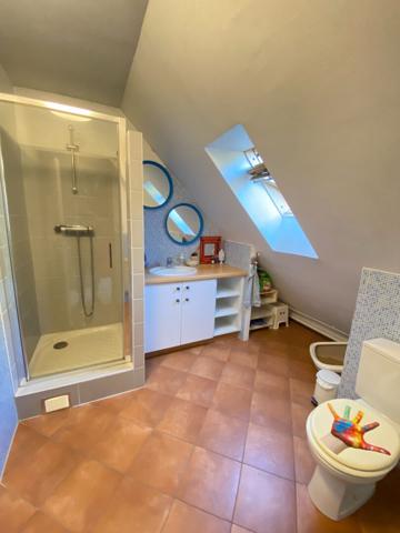 Appartement duplex Thann 5 pièce(s) 110.05 m² avec terrasse - garage et cave