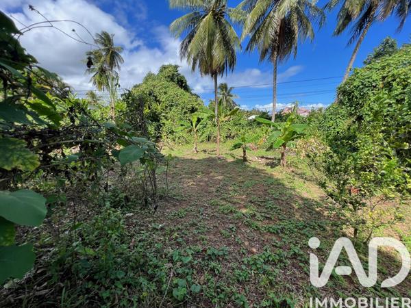 Terrain à vendre 854 m² Capesterre-Belle-Eau