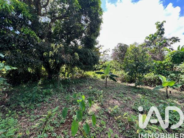 Terrain à vendre 854 m² Capesterre-Belle-Eau