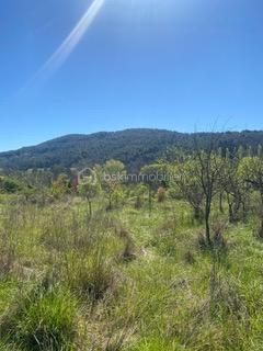 DE NOUVEAU A LA VENTE - Au cœur de la Provence dans le charmant village de Salernes, découvrez ce magnifique terrain arboré de 3267 m², dont 1 200 m² constructibles.

Situé en zone UCR du PLU, il offre une emprise au sol de 20 %, avec possibilité de construction en R+1 et d'aménagement d'une piscine

Les viabilités (eau, électricité et tout-à-l’égout) sont en bordure de terrain, facilitant votre projet.

Idéalement situé, à proximité des commodités, ce terrain saura vous séduire par son environnement agréable et sa superbe vue dégagée.

Une belle opportunité à ne pas manquer !

Possibilité d'acquérir le terrain attenant également en vente : parcelle de 3166 m² dont 1100 m² constructible au prix de 140 000 €