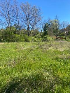 DE NOUVEAU A LA VENTE - Au cœur de la Provence dans le charmant village de Salernes, découvrez ce magnifique terrain arboré de 3267 m², dont 1 200 m² constructibles.

Situé en zone UCR du PLU, il offre une emprise au sol de 20 %, avec possibilité de construction en R+1 et d'aménagement d'une piscine

Les viabilités (eau, électricité et tout-à-l’égout) sont en bordure de terrain, facilitant votre projet.

Idéalement situé, à proximité des commodités, ce terrain saura vous séduire par son environnement agréable et sa superbe vue dégagée.

Une belle opportunité à ne pas manquer !

Possibilité d'acquérir le terrain attenant également en vente : parcelle de 3166 m² dont 1100 m² constructible au prix de 140 000 €