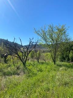 DE NOUVEAU A LA VENTE - Au cœur de la Provence dans le charmant village de Salernes, découvrez ce magnifique terrain arboré de 3267 m², dont 1 200 m² constructibles.

Situé en zone UCR du PLU, il offre une emprise au sol de 20 %, avec possibilité de construction en R+1 et d'aménagement d'une piscine

Les viabilités (eau, électricité et tout-à-l’égout) sont en bordure de terrain, facilitant votre projet.

Idéalement situé, à proximité des commodités, ce terrain saura vous séduire par son environnement agréable et sa superbe vue dégagée.

Une belle opportunité à ne pas manquer !

Possibilité d'acquérir le terrain attenant également en vente : parcelle de 3166 m² dont 1100 m² constructible au prix de 140 000 €