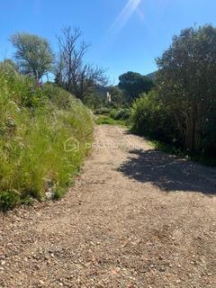 DE NOUVEAU A LA VENTE - Au cœur de la Provence dans le charmant village de Salernes, découvrez ce magnifique terrain arboré de 3267 m², dont 1 200 m² constructibles.

Situé en zone UCR du PLU, il offre une emprise au sol de 20 %, avec possibilité de construction en R+1 et d'aménagement d'une piscine

Les viabilités (eau, électricité et tout-à-l’égout) sont en bordure de terrain, facilitant votre projet.

Idéalement situé, à proximité des commodités, ce terrain saura vous séduire par son environnement agréable et sa superbe vue dégagée.

Une belle opportunité à ne pas manquer !

Possibilité d'acquérir le terrain attenant également en vente : parcelle de 3166 m² dont 1100 m² constructible au prix de 140 000 €