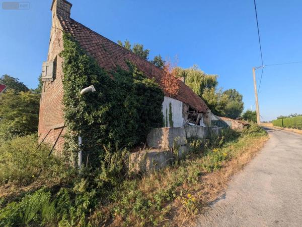 Achat - Maison Wormhout 59470 3 pièces 80 m 2 775 m 2