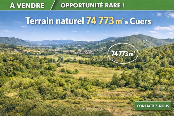 🌿 Rare opportunité – Grand terrain Naturel à Cuers 🌿

Situé sur la commune recherchée de Cuers, le long de l’impasse des Arbusiers, ce vaste terrain de 74 773 m² en zone naturelle offre un cadre exceptionnel, au calme absolu, tout en restant à proximité immédiate de zones constructibles (habitat) et agricoles.

Un bien rare par sa surface, son emplacement stratégique et son potentiel patrimonial.

✨ Les atouts du terrain

Environnement préservé et naturel, idéal pour les amoureux de grands espaces

Accès facile, à quelques minutes seulement des zones habitées

Positionnement intéressant en lisière de secteurs urbanisés et agricoles

Secteur calme, sans nuisance, parfait pour un projet à long terme

Opportunité idéale pour :

Investissement foncier

Valorisation patrimoniale

Projet lié à la nature, aux loisirs ou à l’agriculture (selon réglementation)

Réserve foncière dans un secteur en développement maîtrisé

🌍 Pourquoi investir en zone naturelle ?

Détenir un terrain en zone naturelle, c’est faire le choix :

d’un actif rare et limité,

d’une valeur refuge sur le long terme,

d’un foncier protégé, au cœur d’un cadre paysager recherché,

avec une proximité stratégique des zones à potentiel futur.

Un bien qui s’inscrit dans une logique de vision, de patience et de valeur durable.


📍Adresse : Impasse des Arbusiers (puis chemin de terre à droite) vers grotte de Trubis
🗺️coordonnées GPS : 43.225423, 6.029056
Parcelles dans les images de l'annonce

📞 Dossier complet et informations sur demande.
Opportunité à saisir pour investisseurs avertis ou amateurs de foncier d’exception.