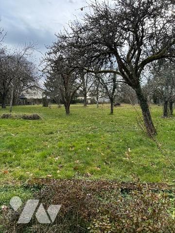 Maison proche centre ville dans environnement calme avec grand terrain