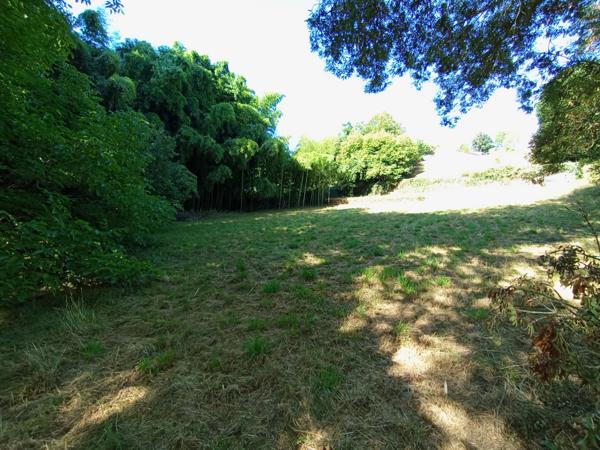 CELLES SUR BELLE (79) à vendre Ensemble immobilier à rénover avec dépendances et grand terrain arboré