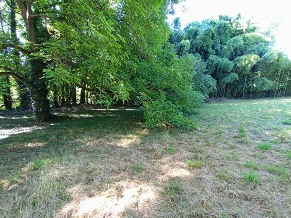 CELLES SUR BELLE (79) à vendre Ensemble immobilier à rénover avec dépendances et grand terrain arboré
