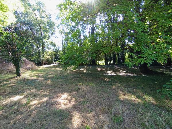 CELLES SUR BELLE (79) à vendre Ensemble immobilier à rénover avec dépendances et grand terrain arboré