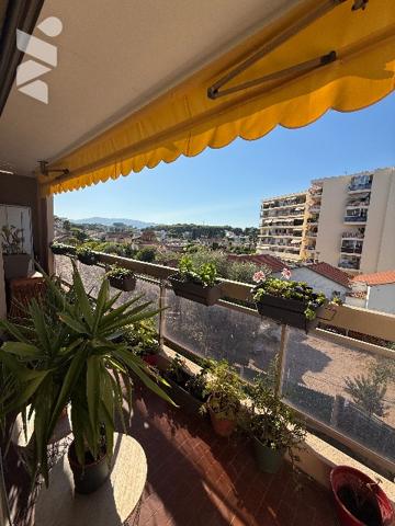 APPARTEMENT DEUX PIECES - LOUE - IDEAL INVESTISSEUR