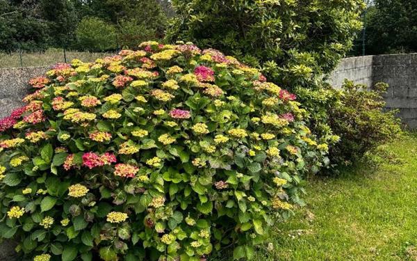 Maison à vendre    7 pièces •  Audierne