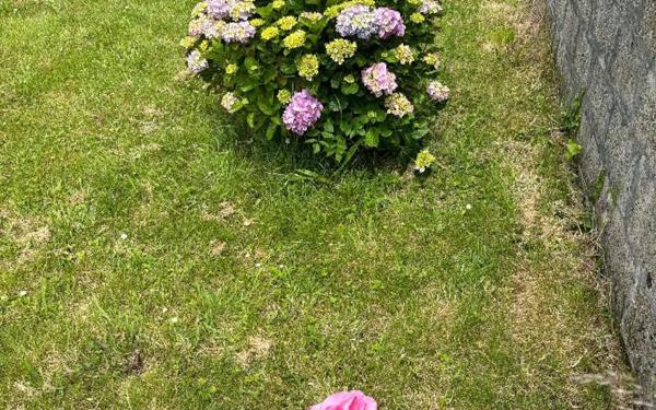 Maison à vendre    7 pièces •  Audierne