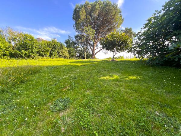 Terrain à vendre à Saint-Martin-de-Seignanx (40390) - Landes