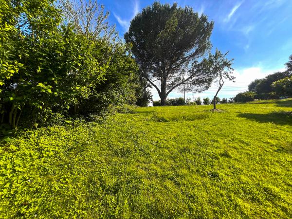 Terrain à vendre à Saint-Martin-de-Seignanx (40390) - Landes