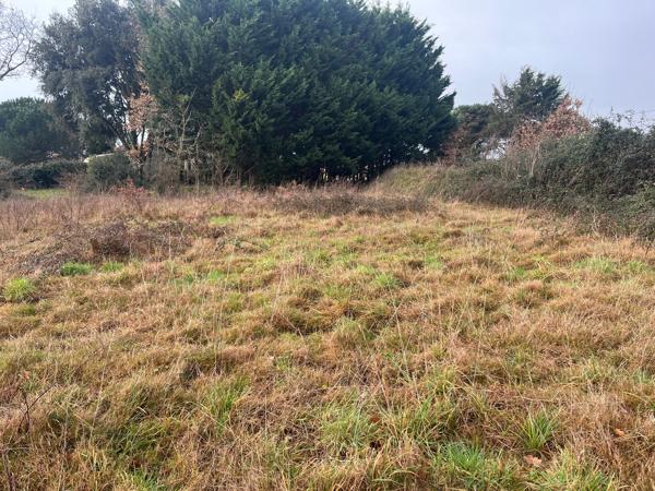 Terrain
        
        - 1071 m² 215 000 € *