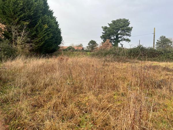 Terrain
        
        - 1071 m² 215 000 € *
