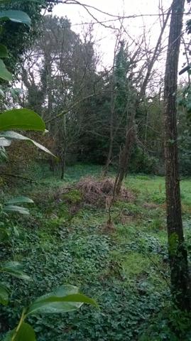 À vendre : PESSAC, secteur Alouette. Terrain à bâtir de 409 m², idéalement situé pour réaliser votre projet de construction. Opportunité rare dans un quartier recherché. Ne manquez pas cette chance !