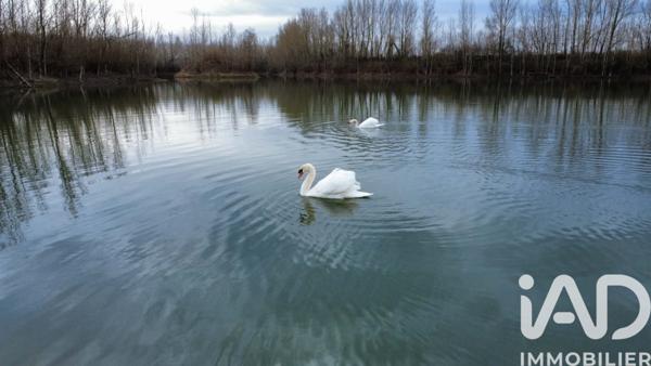 Terrain à vendre 125 000 m² Castelferrus