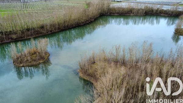 Terrain à vendre 125 000 m² Castelferrus