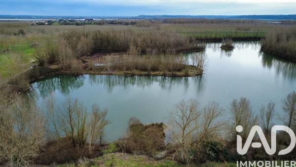 Terrain à vendre 125 000 m² Castelferrus